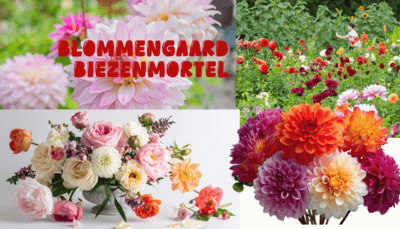 blommengaard-biezenmortel-gr