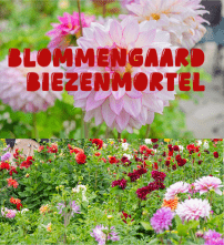 blommengaard-biezenmortel-kl