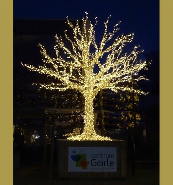 kerstboom-gemeente-goirle 2