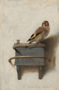 the-goldfinch-fabritivis-1654